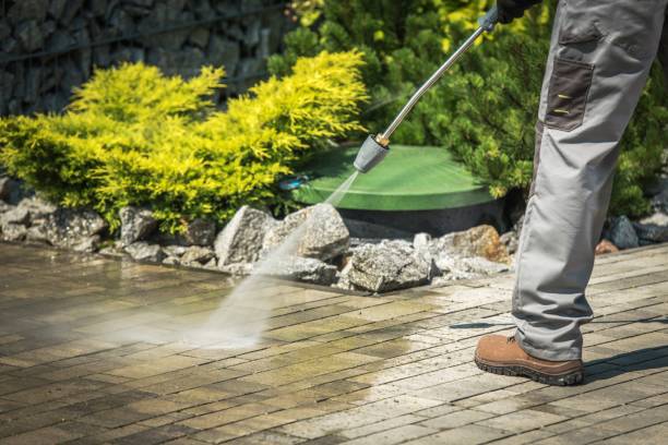 Best Dumpster Area Cleaning  in University Gardens, NY
