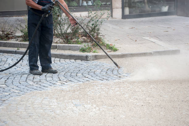Best Gutter Cleaning  in University Gardens, NY