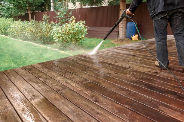  University Gardens, NY Pressure Washing Pros