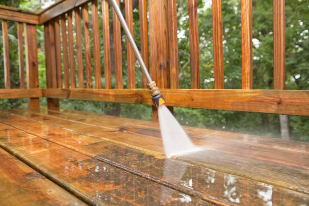 Best Building Exterior Washing  in University Gardens, NY